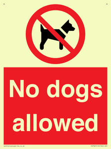No dogs allowed